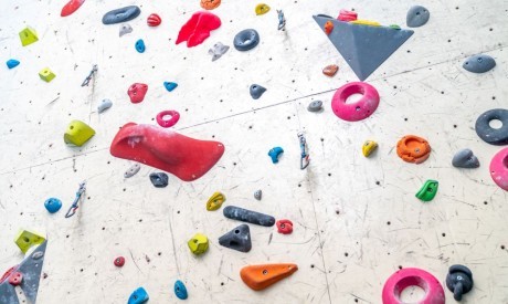 shutterstock_2272216007